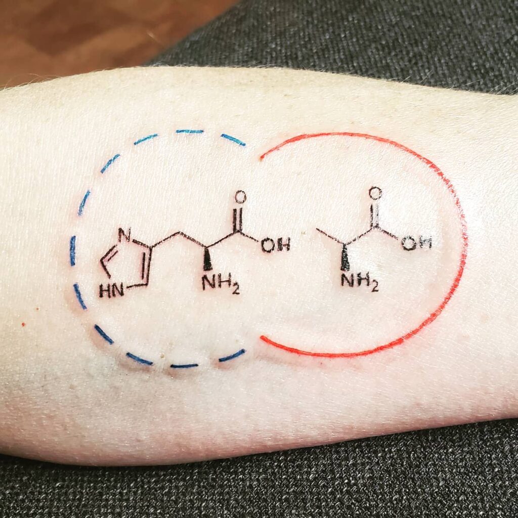 Amino Acid Sequence Design