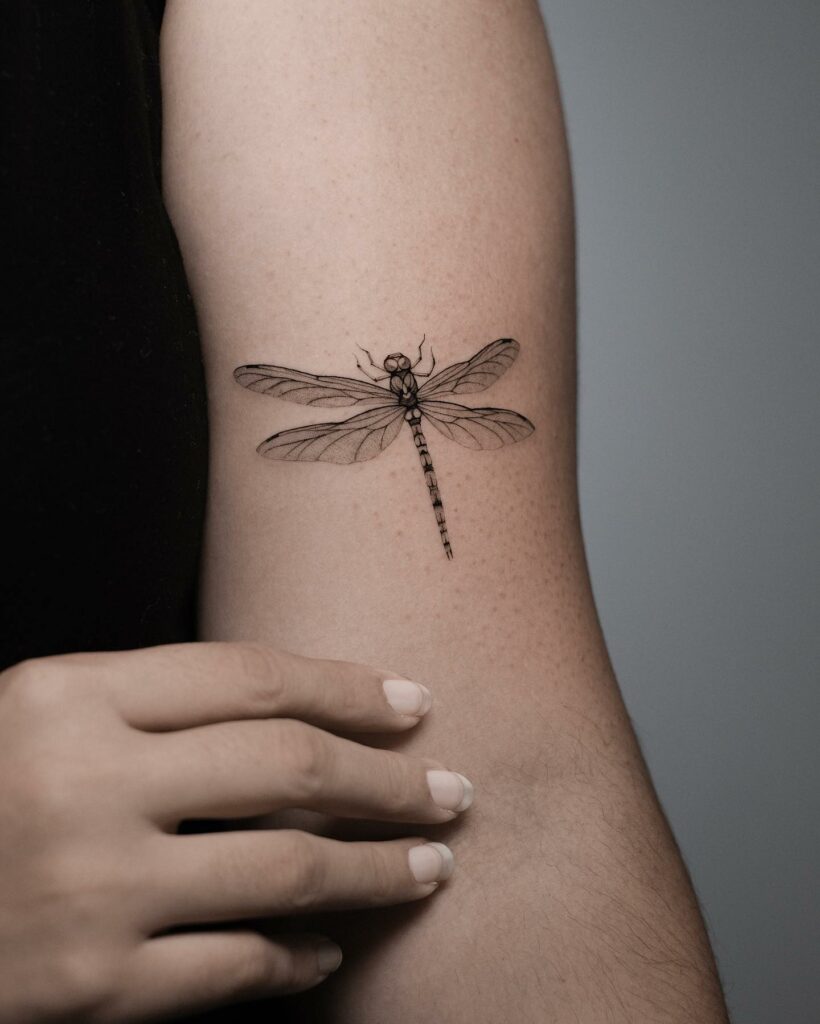 Dragonfly Tattoo