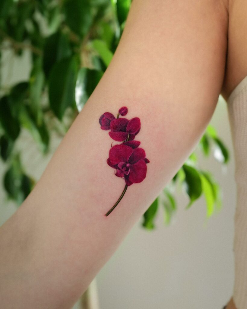 Orchid Tattoo