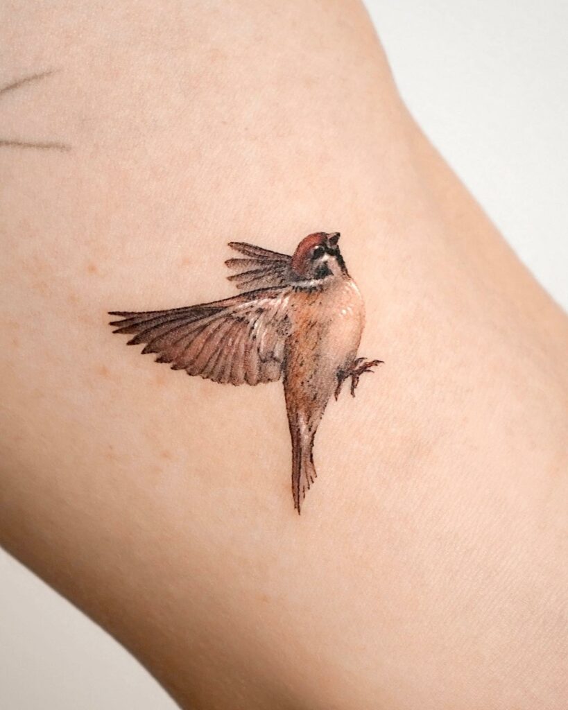 Sparrow Tattoo