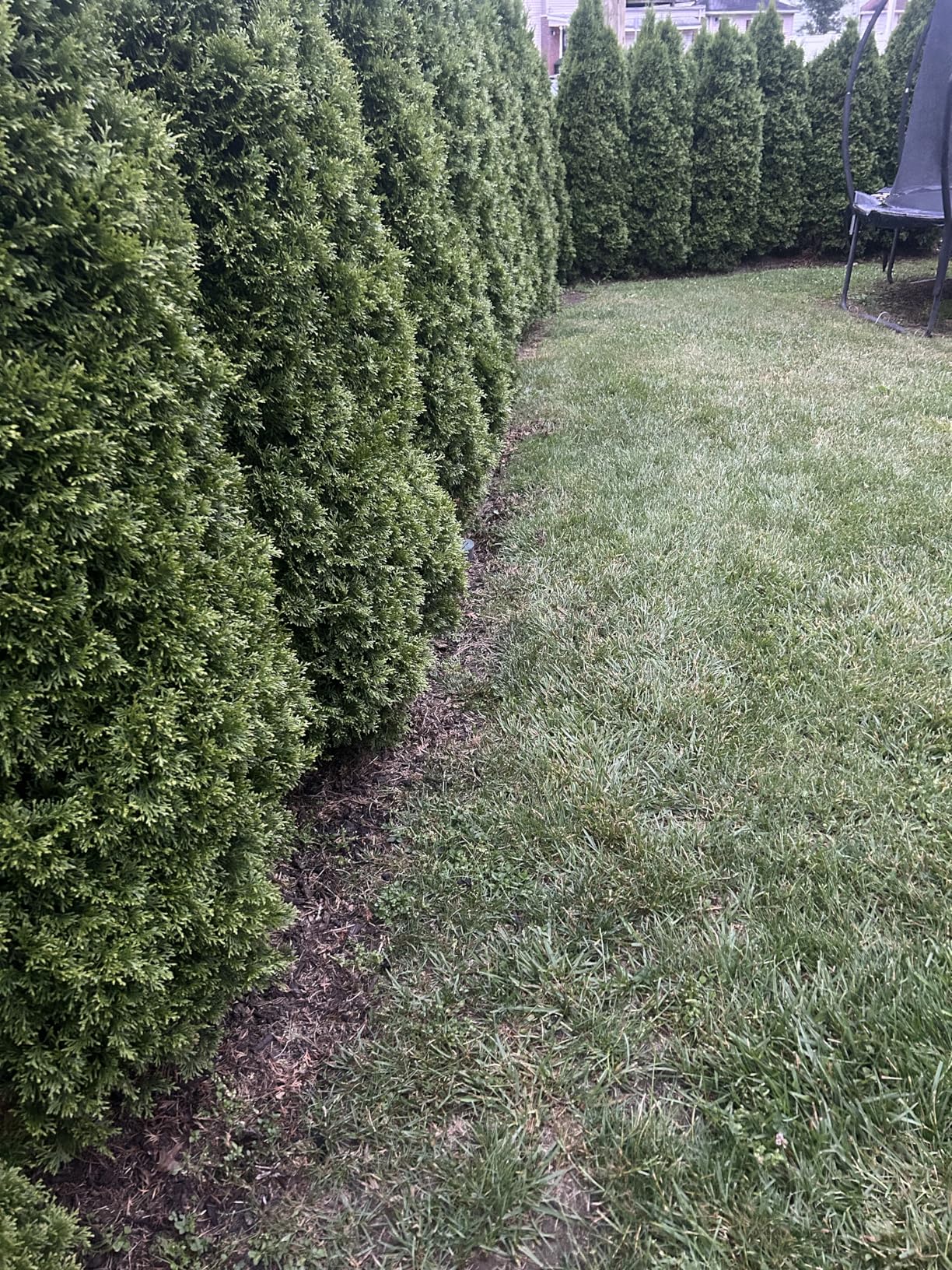 B0DJQX71F7 Customer Photo 1