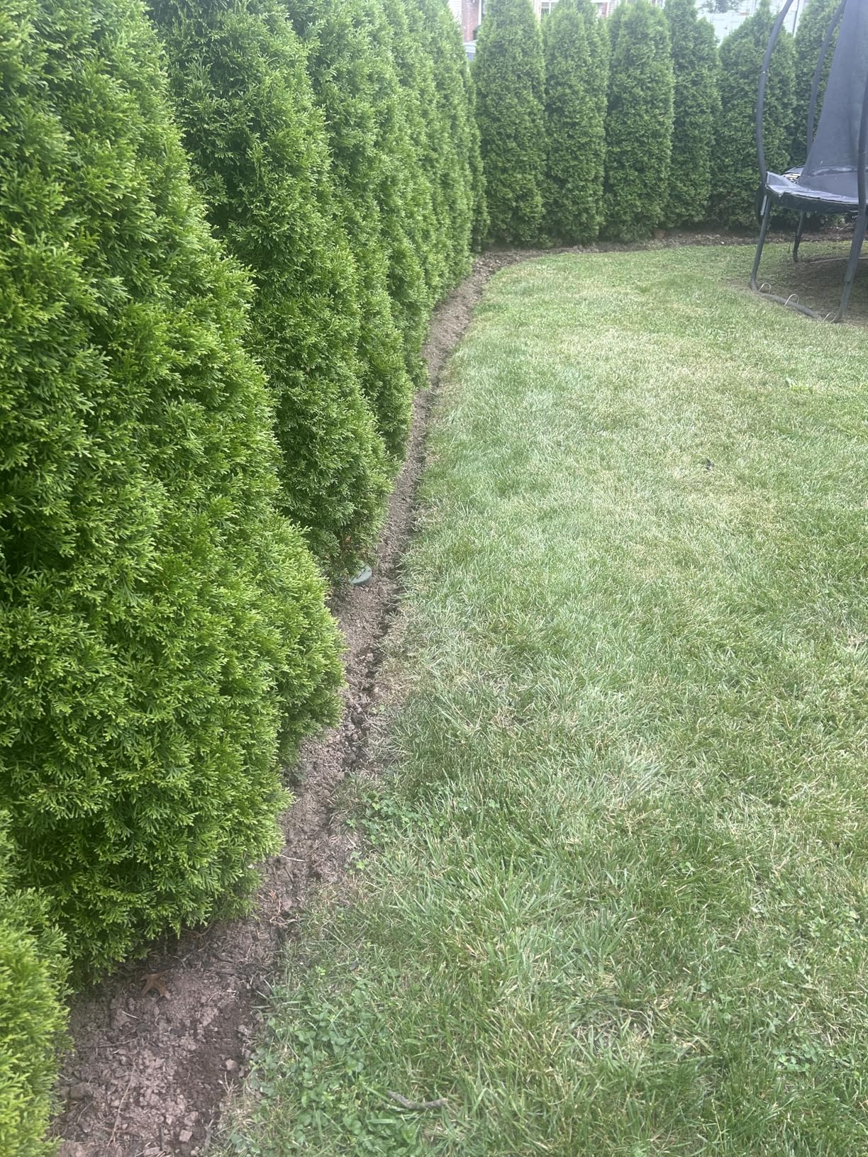 B0DJQX71F7 Customer Photo 2