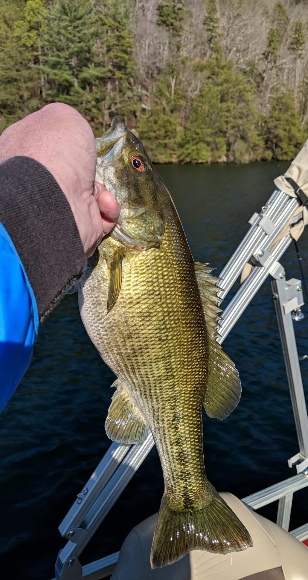 Okuma Classic Pro GLT & Rods Customer Review Okuma Classic Pro GLT & Rods - Customer Photo 5