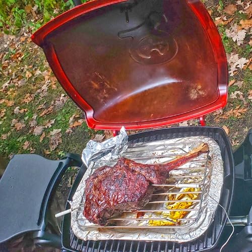 Weber Q1200 Liquid Propane Portable Gas Grill for Travel and Camping, 1 Burner, Black Customer Review Weber Q1200 Liquid Propane Portable Gas Grill for Travel and Camping, 1 Burner, Black - Customer Photo 2