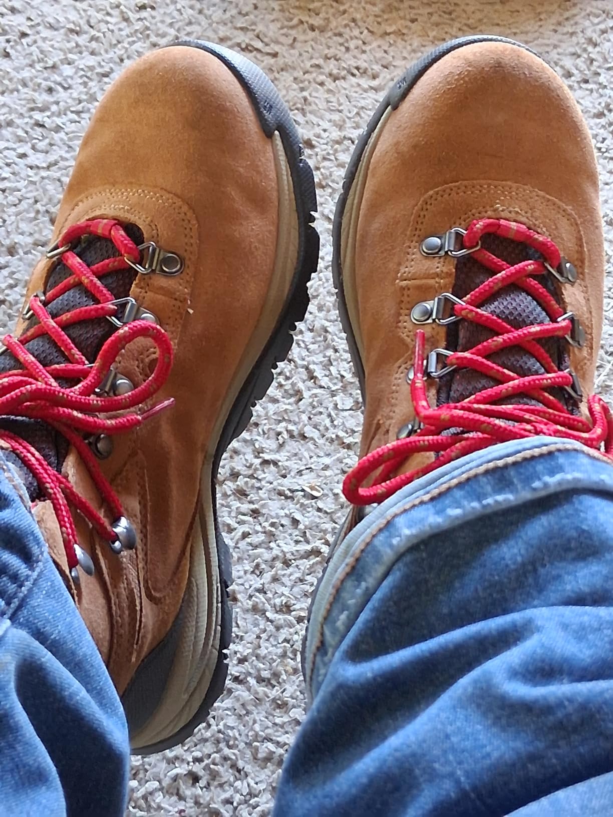 Columbia Women's Newton Ridge Plus Waterproof Amped Hiking Boot - Customer Photo 1