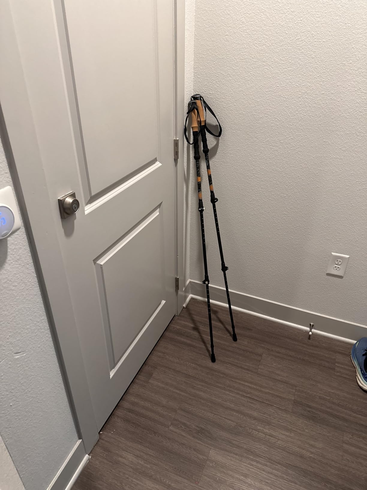 Cascade Mountain Tech Lightweight Aircraft-Grade Aluminum Trekking Poles with Extended Down Grip Plus Tip Kit Customer Review Cascade Mountain Tech Lightweight Aircraft-Grade Aluminum Trekking Poles with Extended Down Grip Plus Tip Kit - Customer Photo 1