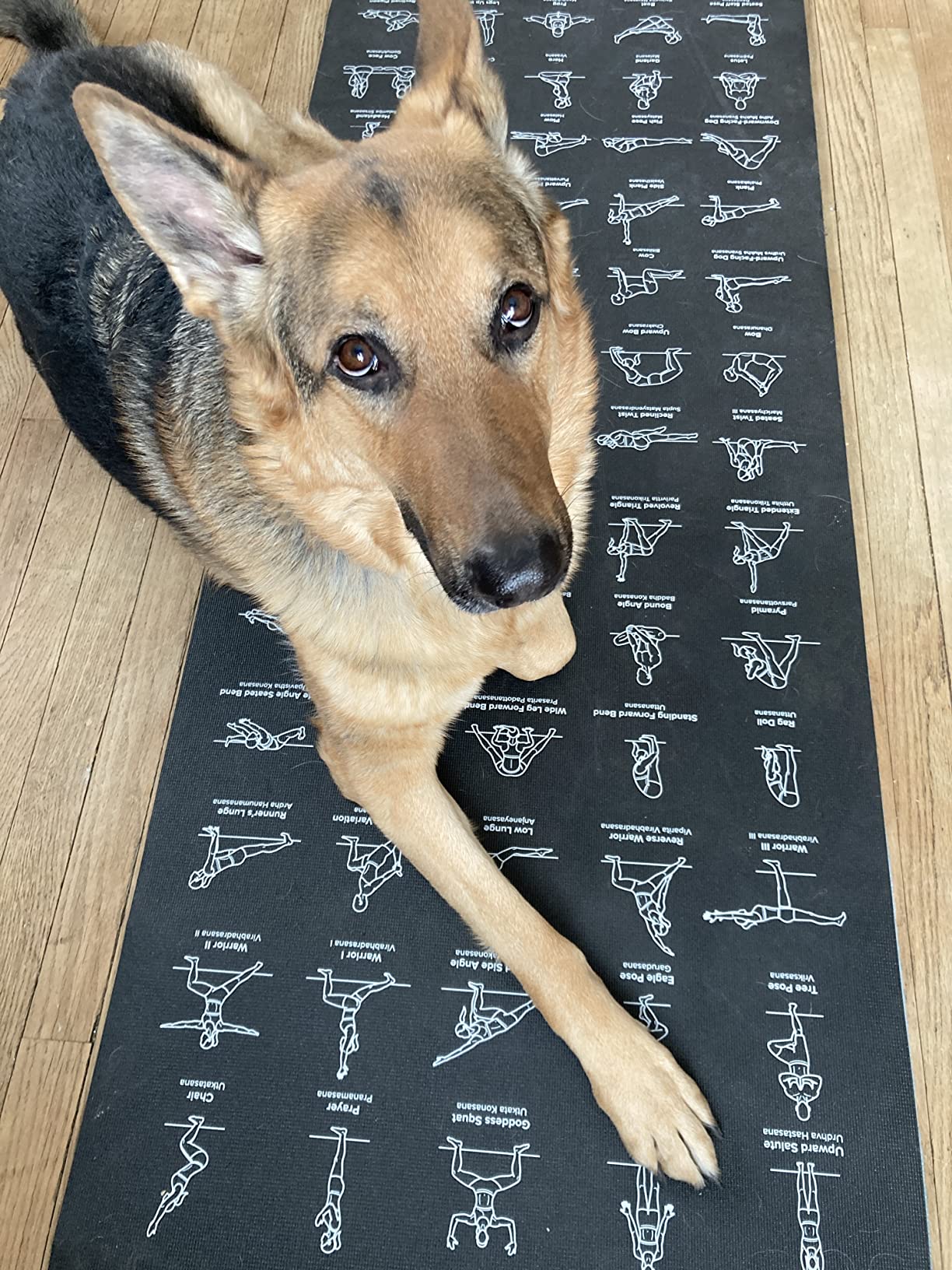 NewMe Fitness Yoga Mat for Women and Men - Large, 5mm Thick, 68 Inch Long, Non Slip Exercise Mats w/ 70 Printed Yoga Poses for Pilates, Workout and Stretching - Home and Gym Essentials Customer Review NewMe Fitness Yoga Mat for Women and Men - Large, 5mm Thick, 68 Inch Long, Non Slip Exercise Mats w/ 70 Printed Yoga Poses for Pilates, Workout and Stretching - Home and Gym Essentials - Customer Photo 1