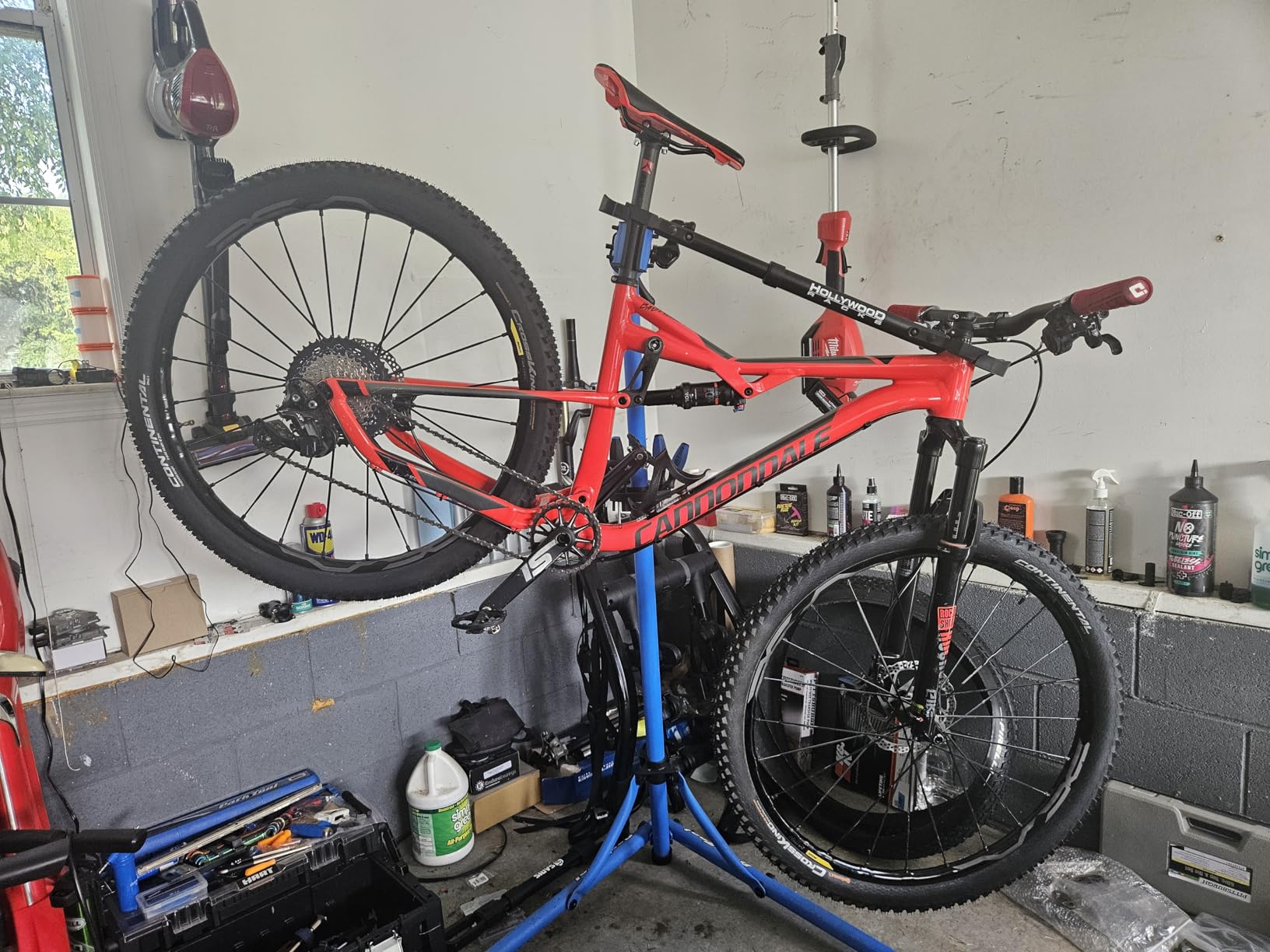Continental Race King Mountain Bike Tire - Tubeless, Folding, Black, PureGrip, ShieldWall System, E25 Customer Review Continental Race King Mountain Bike Tire - Tubeless, Folding, Black, PureGrip, ShieldWall System, E25 - Customer Photo 1