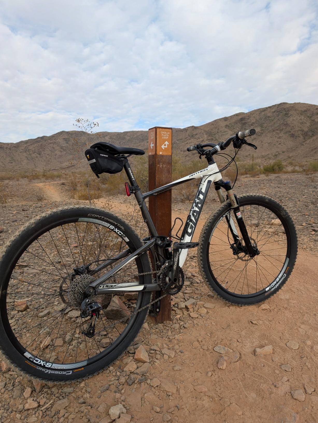 Continental Race King Mountain Bike Tire - Tubeless, Folding, Black, PureGrip, ShieldWall System, E25 Customer Review Continental Race King Mountain Bike Tire - Tubeless, Folding, Black, PureGrip, ShieldWall System, E25 - Customer Photo 2