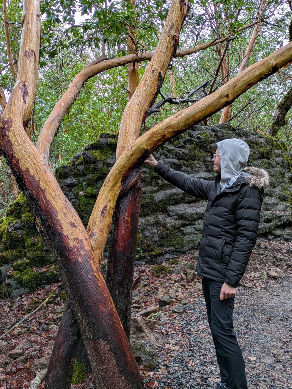 Men's Boundary Pass Down Parka Customer Review Men's Boundary Pass Down Parka - Customer Photo 1