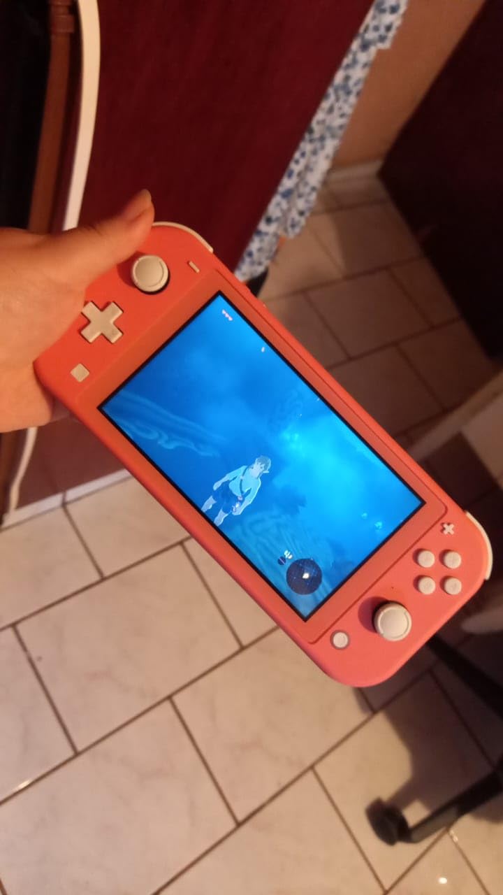 Nintendo Switch Lite Hand-Held Gaming Console - Gray (HDH-001) (Renewed) - Customer Photo 1