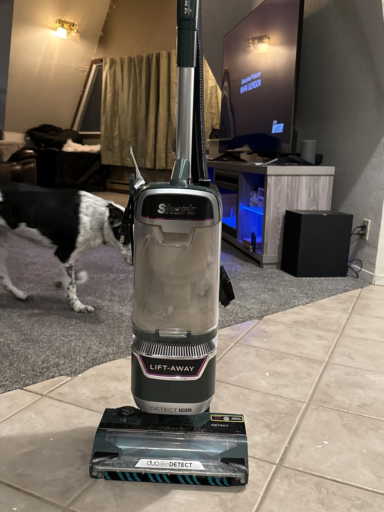 Shark Upright Vacuum, Navigator Lift-Away with Self-Cleaning Brushroll, HEPA Filter, Swivel Steering, Upholstery Tool & Pet Crevice Tool, Perfect for Pets & Multi-Surface, Teal, ZU503AMZ Customer Review Shark Upright Vacuum, Navigator Lift-Away with Self-Cleaning Brushroll, HEPA Filter, Swivel Steering, Upholstery Tool & Pet Crevice Tool, Perfect for Pets & Multi-Surface, Teal, ZU503AMZ - Customer Photo 1