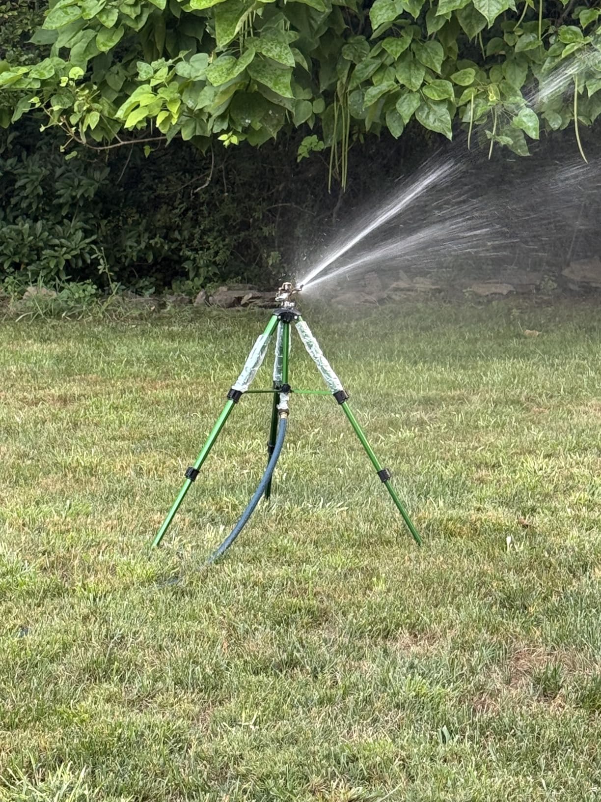 Biswing Impact Sprinkler Head on Tripod Base, Heavy Duty Lawn Sprinklers, 360 Degree Large Area Irrigation, Brass Sprinkler Nozzle & Solid Alloy Metal Extension Legs Flip Locks, 2 Pack Customer Review Biswing Impact Sprinkler Head on Tripod Base, Heavy Duty Lawn Sprinklers, 360 Degree Large Area Irrigation, Brass Sprinkler Nozzle & Solid Alloy Metal Extension Legs Flip Locks, 2 Pack - Customer Photo 1