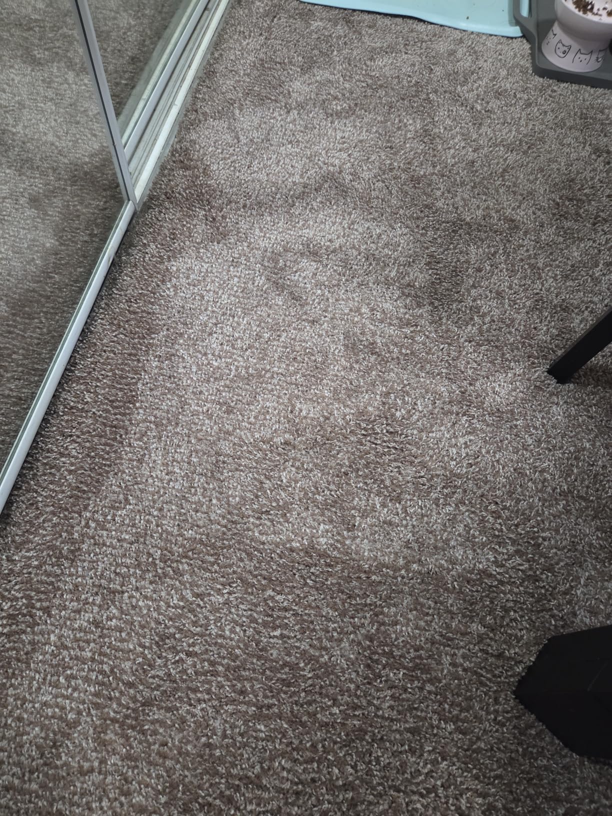 Hoover PowerDash Pet+ Compact Carpet Cleaner Machine, Lightweight Carpet Shampooer Machine, Includes Storage Mat, Pair with a Hoover Carpet Cleaner Solution for a Bright, Refreshed Home - Customer Photo 2