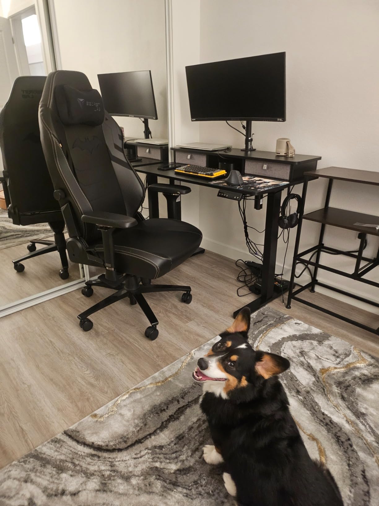 Secretlab Titan Evo Dark Knight Gaming Chair - Reclining, Ergonomic, Comfortable Computer Chair with 4D Armrests, Headrest & Lumbar Support - Small - Black - Leatherette - Customer Photo 2