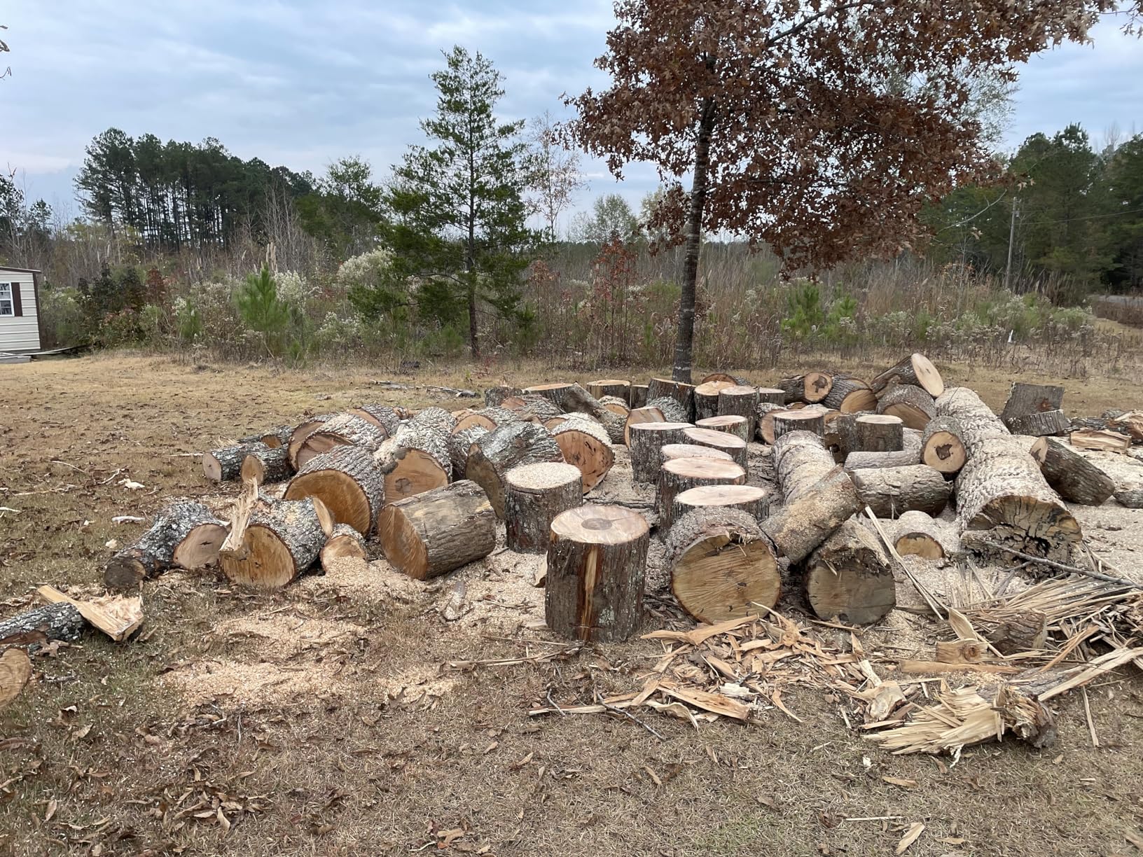 Husqvarna 450 Rancher 20 Inch Gas Chainsaw, 50.2-cc 3.2-HP, 2-Cycle X-Torq Engine, For Tree Pruning, Yard Cleanups and Firewood Cutting, 970613120 - Customer Photo 2