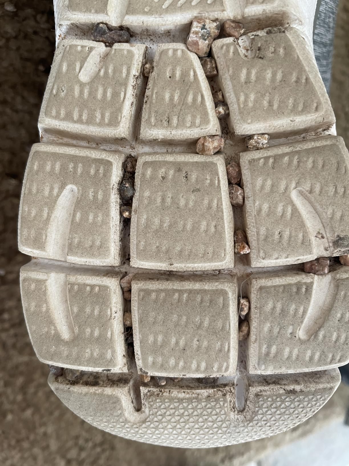 Skechers Women's Summits Dazzling Haze Hands Free Slip In Sneakers Customer Review Skechers Women's Summits Dazzling Haze Hands Free Slip In Sneakers - Customer Photo 4