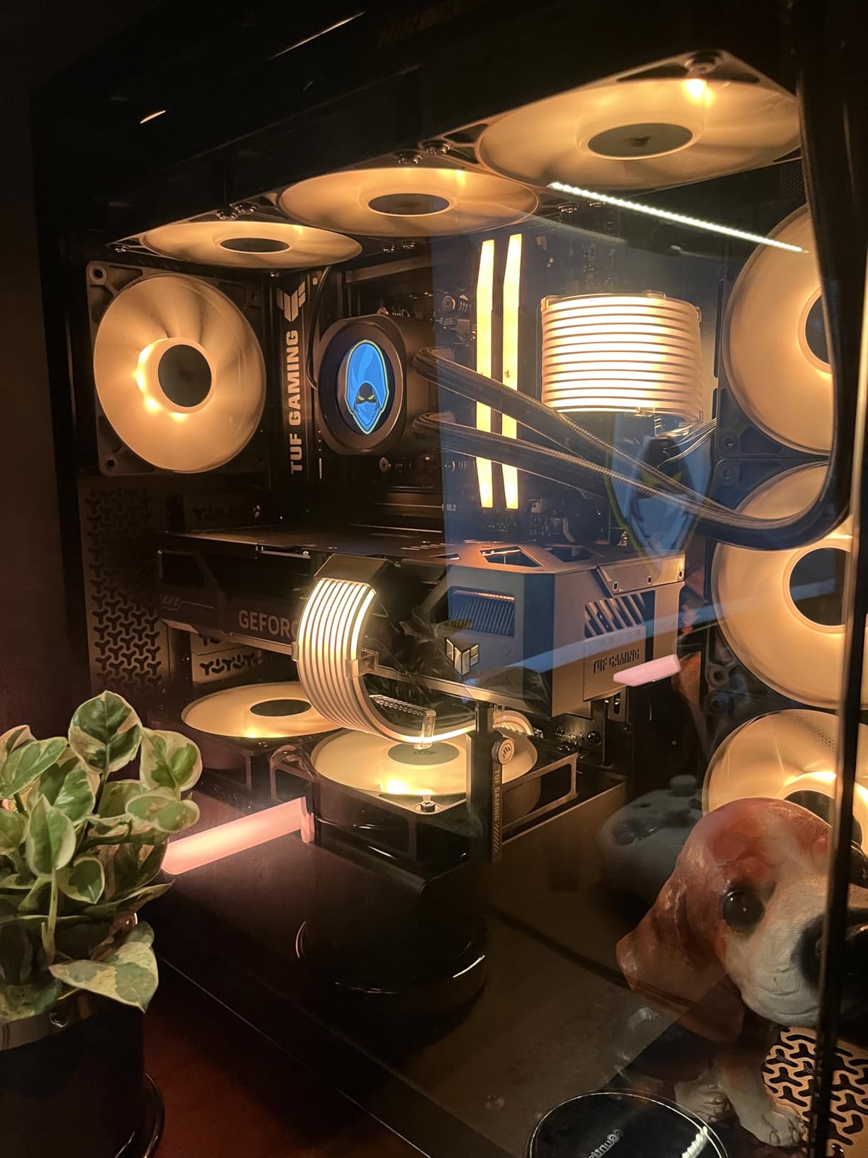 ASUS Dual GeForce RTX™ 4060 Ti EVO OC Edition 8GB GDDR6 (PCIe 4.0, 8GB GDDR6, DLSS 3, HDMI 2.1a, DisplayPort 1.4a, Axial-tech fan design, 0dB technology, Protective Backplate, Auto-Extreme Technology) Customer Review ASUS Dual GeForce RTX™ 4060 Ti EVO OC Edition 8GB GDDR6 (PCIe 4.0, 8GB GDDR6, DLSS 3, HDMI 2.1a, DisplayPort 1.4a, Axial-tech fan design, 0dB technology, Protective Backplate, Auto-Extreme Technology) - Customer Photo 4