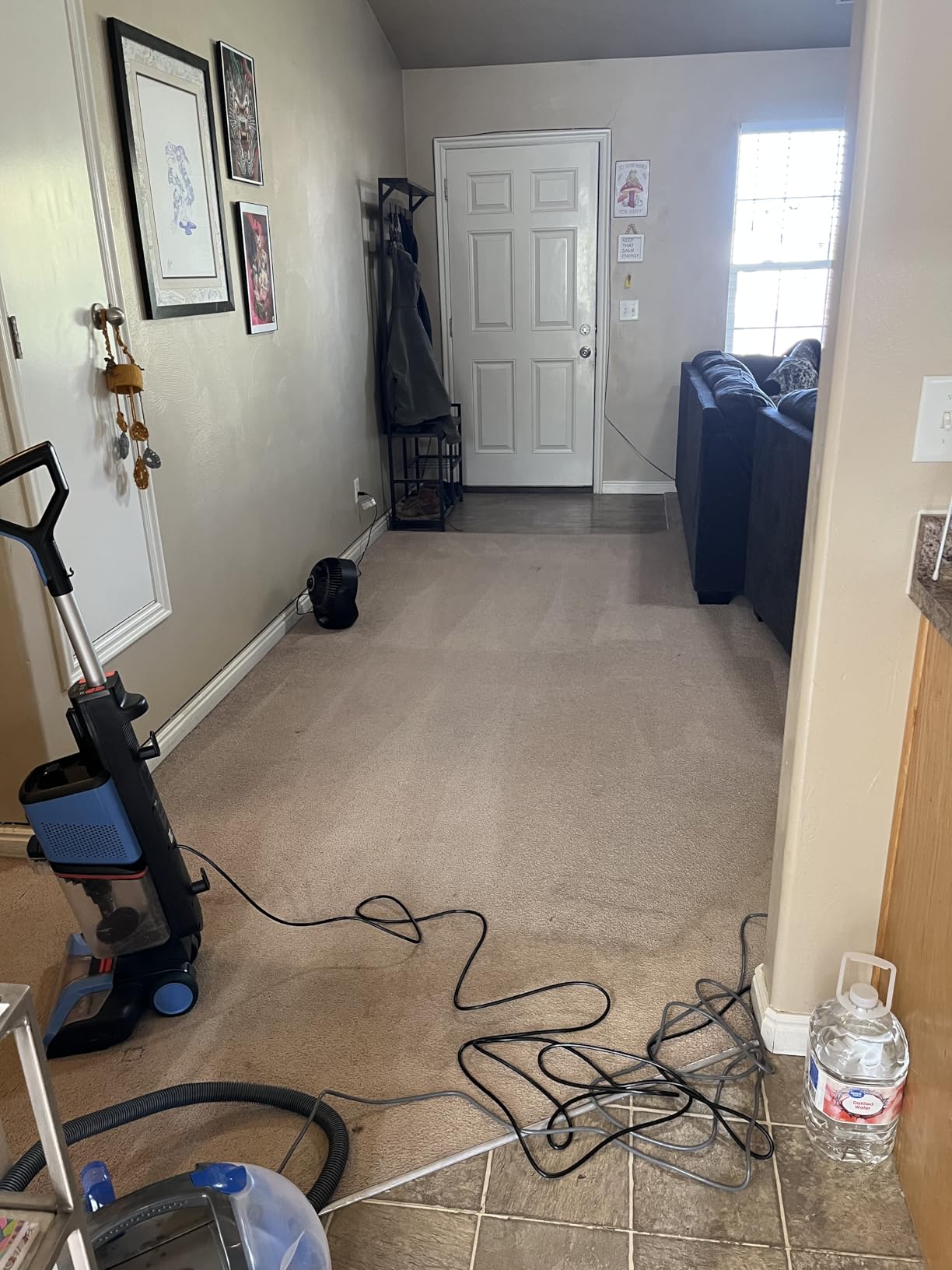 Shark CarpetXpert Upright Carpet & Area Rug Cleaner, Perfect for Pets, Lightweight & Powerful, Dirt, Grime, & Odor Removal, Carpet Shampooer, Cleaning Solution, Blue, EX121BRN - Customer Photo 1