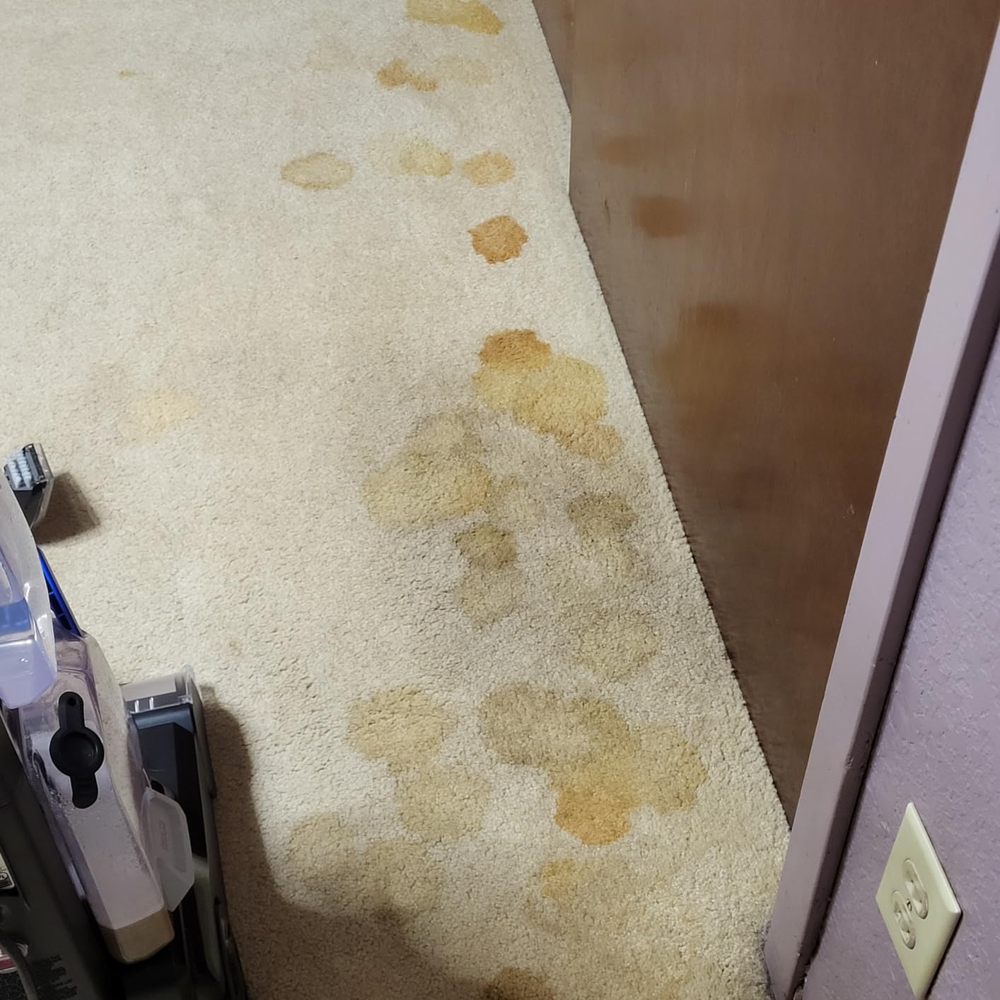 BISSELL TurboClean, Upright Carpet Cleaner, Pro Max Clean & Protect + Oxy Urine Eliminator Formula Included, 3952 - Customer Photo 1