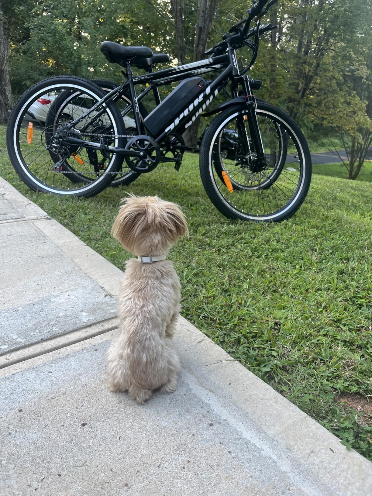Electric Bike for Adults, 1500W Peak Mountain Ebike with 28 MPH, 65 Miles Range, 7 Speeds, 48V 10Ah Removable Battery Ebike, 26 Electric Bike for Adults, 1500W Peak Mountain Ebike with 28 MPH, 65 Miles Range, 7 Speeds, 48V 10Ah Removable Battery Ebike, 26
