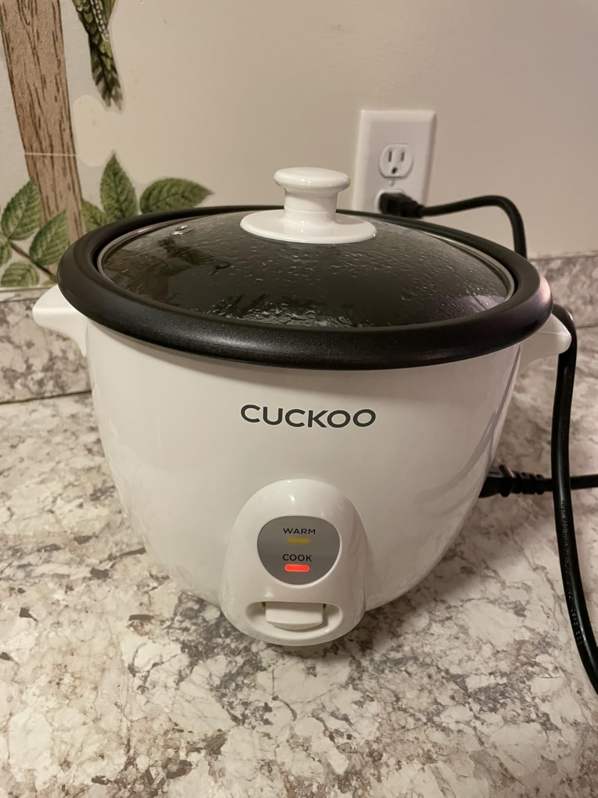 CUCKOO One Touch Rice Cooker 12-Cup Cooked, Small Rice Cooker & Warmer with Steamer Tray, Versatile Grain Cooker, Soup Maker, Auto Keep Warm, 6-Cup Uncooked, White (CR-0601C) Customer Review CUCKOO One Touch Rice Cooker 12-Cup Cooked, Small Rice Cooker & Warmer with Steamer Tray, Versatile Grain Cooker, Soup Maker, Auto Keep Warm, 6-Cup Uncooked, White (CR-0601C) - Customer Photo 2