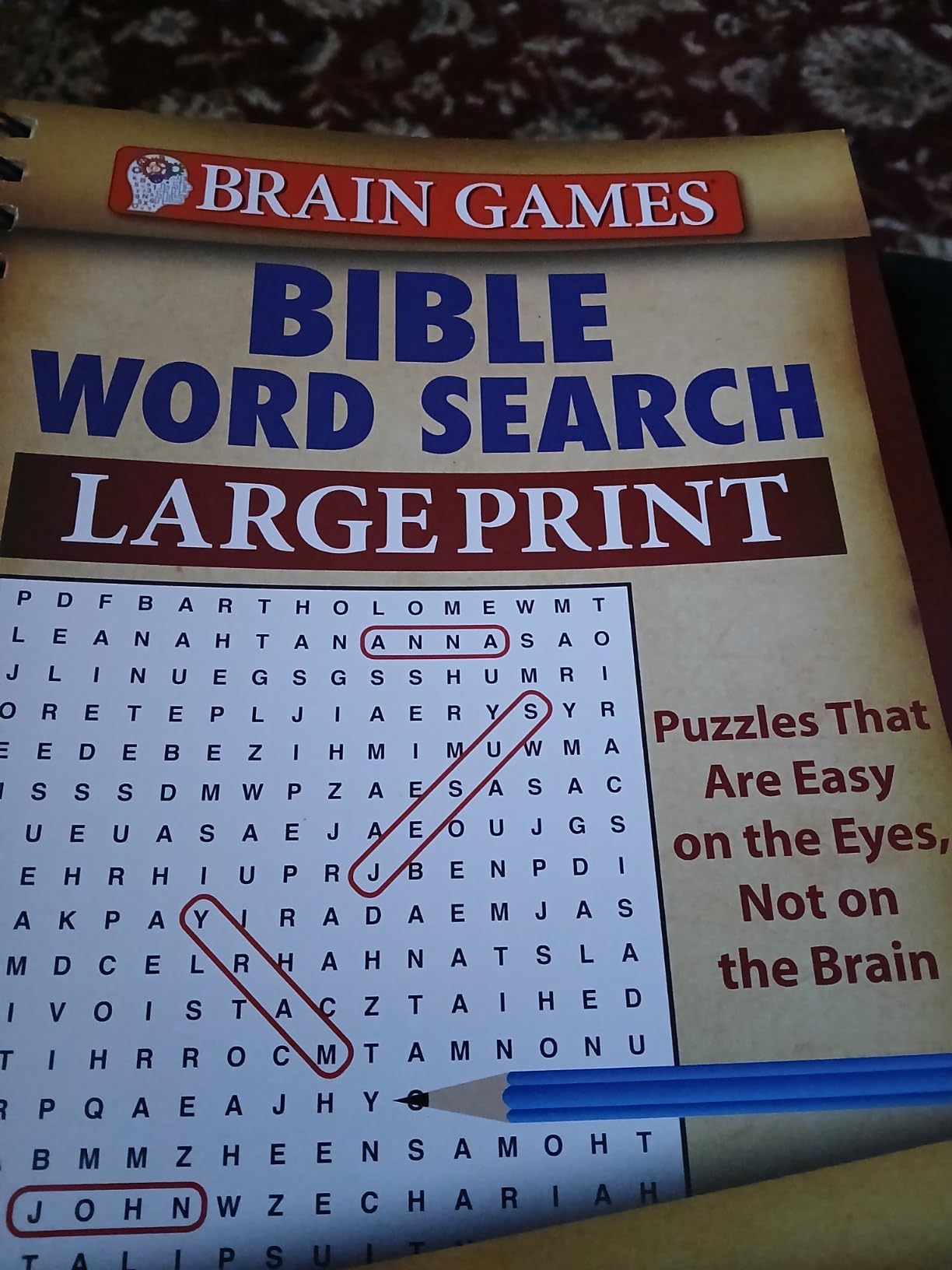 Brain Games - Bible Word Search (Large Print) - Customer Photo 1