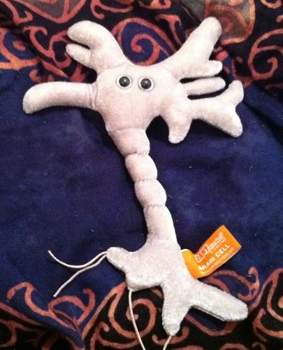 GIANTmicrobes Brain Cell Plush, Neuron Plush, Neuroscience Gift, Neurology Gifts, Science Plushies, Neuron Model Anatomy, Psychology Gifts, Psychology Decor, Brain Gift, TBI, Mental Health Awareness - Customer Photo 1