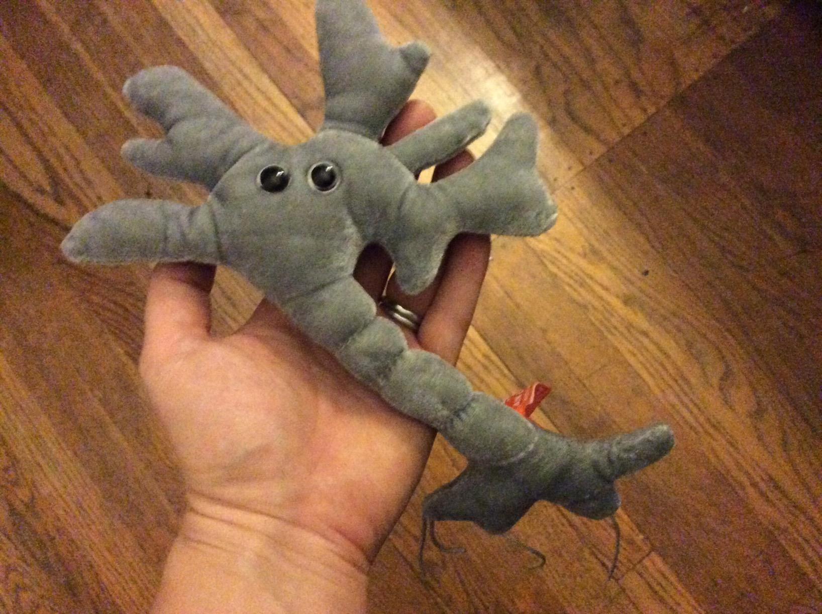 GIANTmicrobes Brain Cell Plush, Neuron Plush, Neuroscience Gift, Neurology Gifts, Science Plushies, Neuron Model Anatomy, Psychology Gifts, Psychology Decor, Brain Gift, TBI, Mental Health Awareness - Customer Photo 2