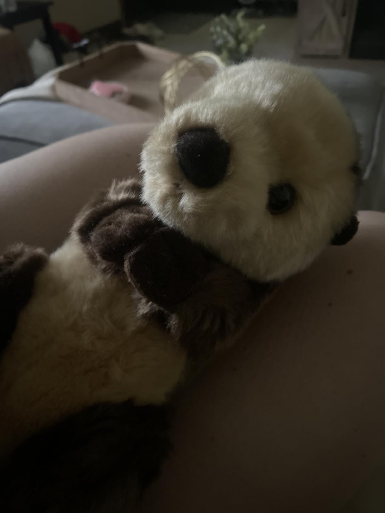 Aurora® Realistic Miyoni® Sea Otter Stuffed Animal - Lifelike Details Make a Cherished Companion - Perfect for Decorating Bedrooms or Classrooms - Brown 10 Inches - Customer Photo 1