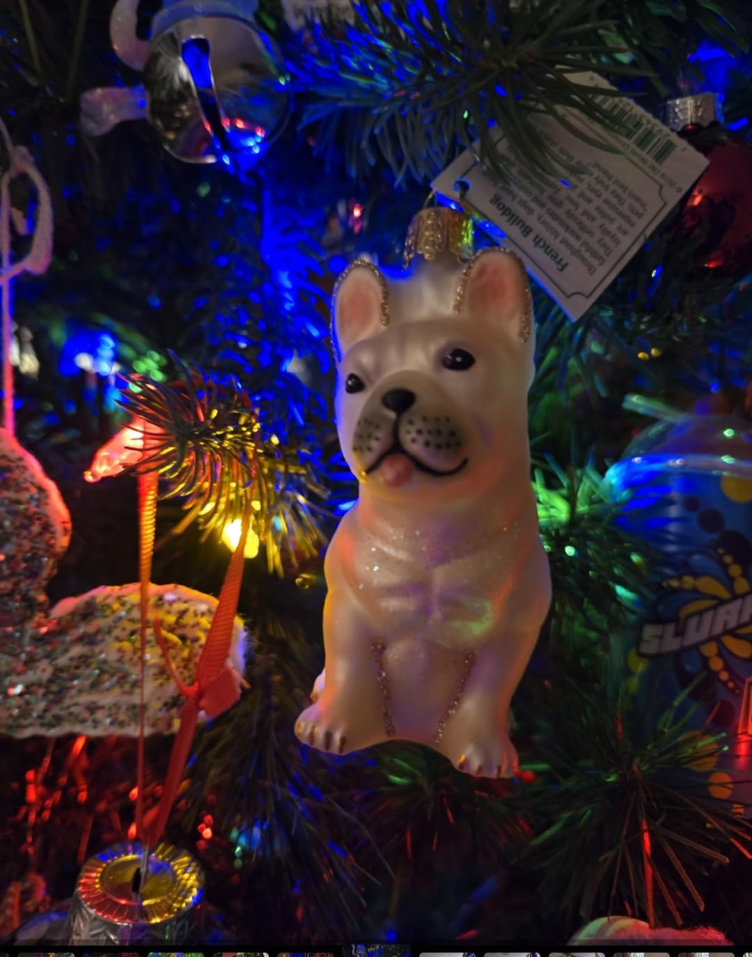 Old World Christmas Ornaments: French Bulldog Glass Blown Ornaments for Christmas Tree (12436) Customer Review Old World Christmas Ornaments: French Bulldog Glass Blown Ornaments for Christmas Tree (12436) - Customer Photo 1