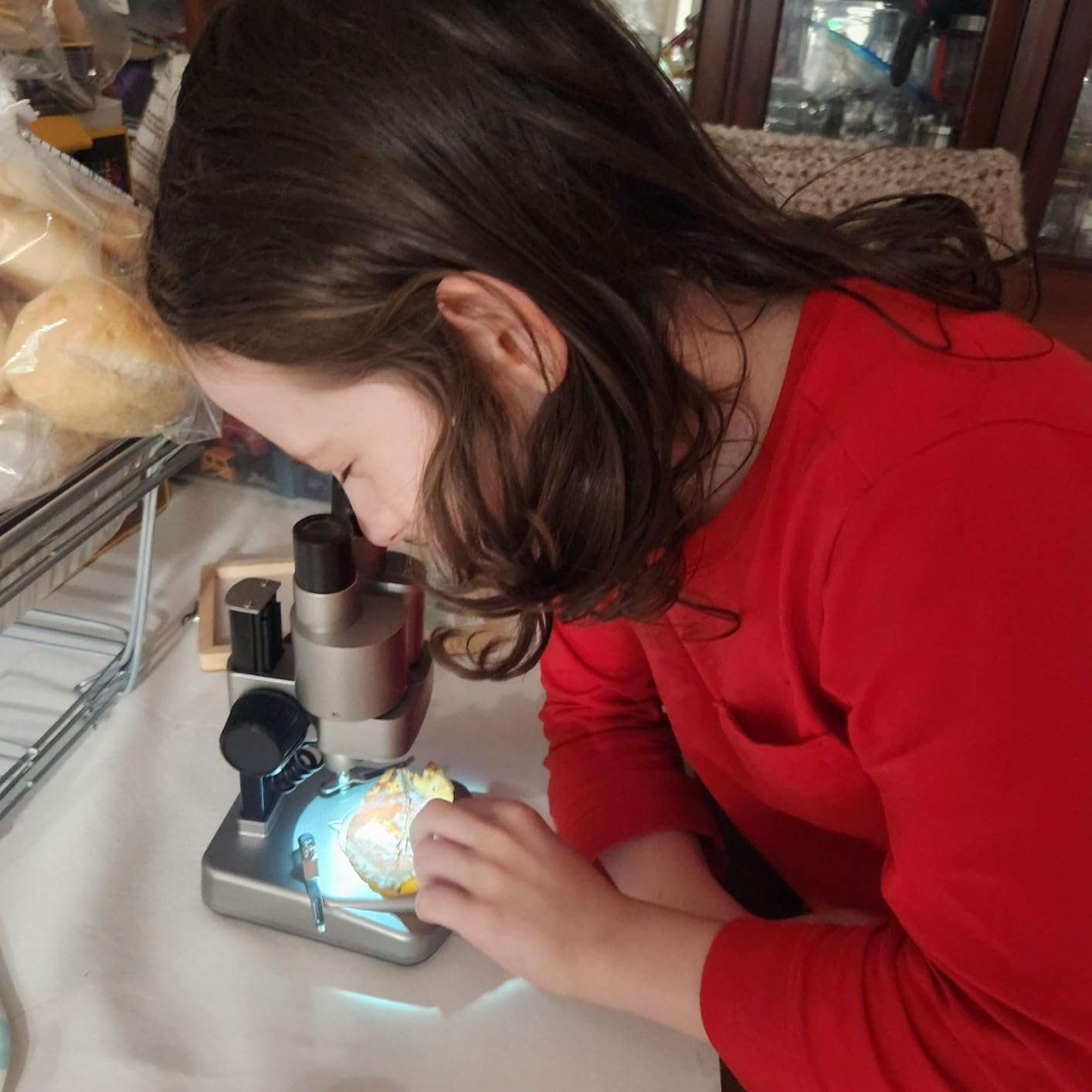National Geographic Dual LED Kids Microscope - 50+ pc Science Kit with 10 Prepared Slides & 10 DIY Blank Slides, Biology Experiment Activity, Microscope Kit for Kids 8-12 (Amazon Exclusive) Customer Review National Geographic Dual LED Kids Microscope - 50+ pc Science Kit with 10 Prepared Slides & 10 DIY Blank Slides, Biology Experiment Activity, Microscope Kit for Kids 8-12 (Amazon Exclusive) - Customer Photo 2