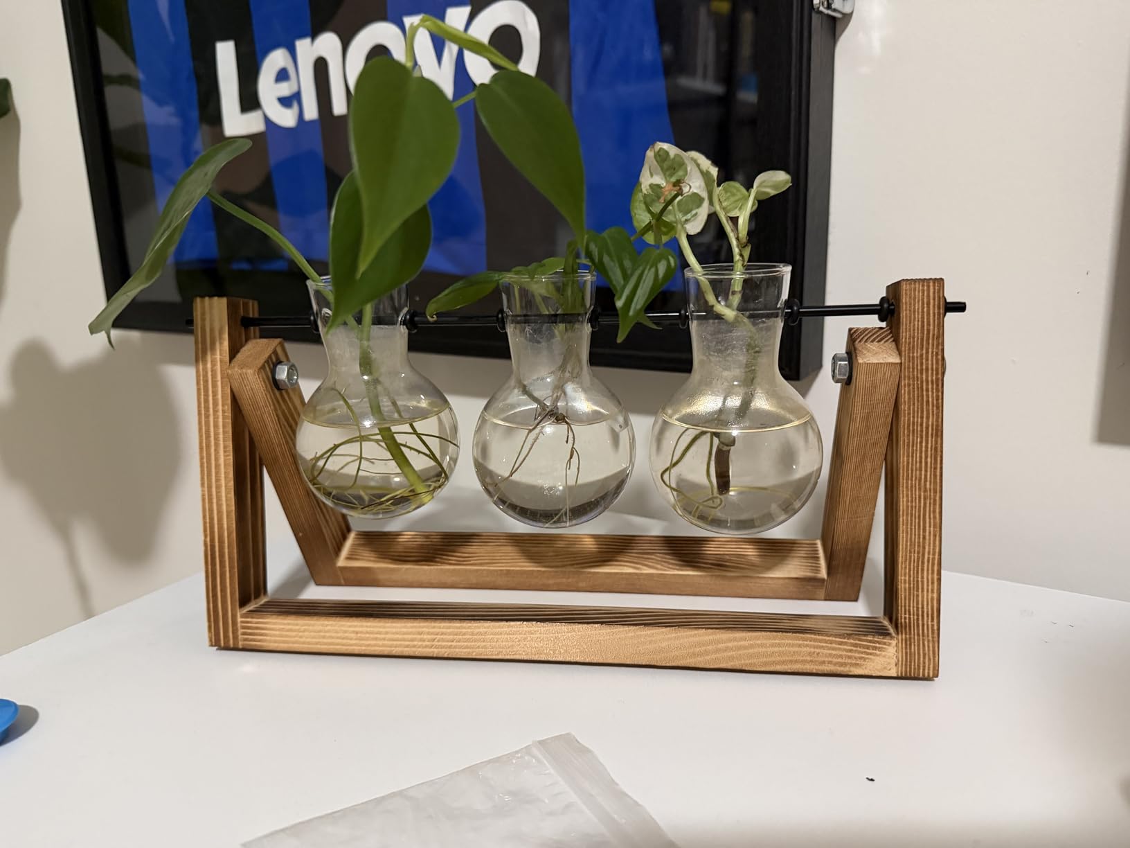 XXXFLOWER Plant Terrarium with Wooden Stand, Air Planter Bulb Glass Vase Metal Swivel Holder Retro Tabletop for Hydroponics Home Garden Office Decoration - 3 Bulb Vase - Customer Photo 2