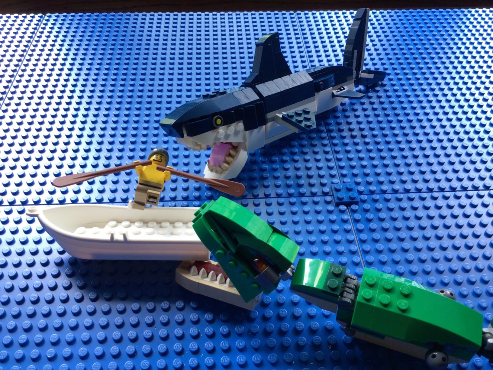 LEGO Creator 3 in 1 Deep Sea Creatures, Transforms from Shark and Crab to Squid to Angler Fish, Sea Animal Toys, Gifts for 7 Plus Year Old Girls and Boys, 31088 - Customer Photo 1