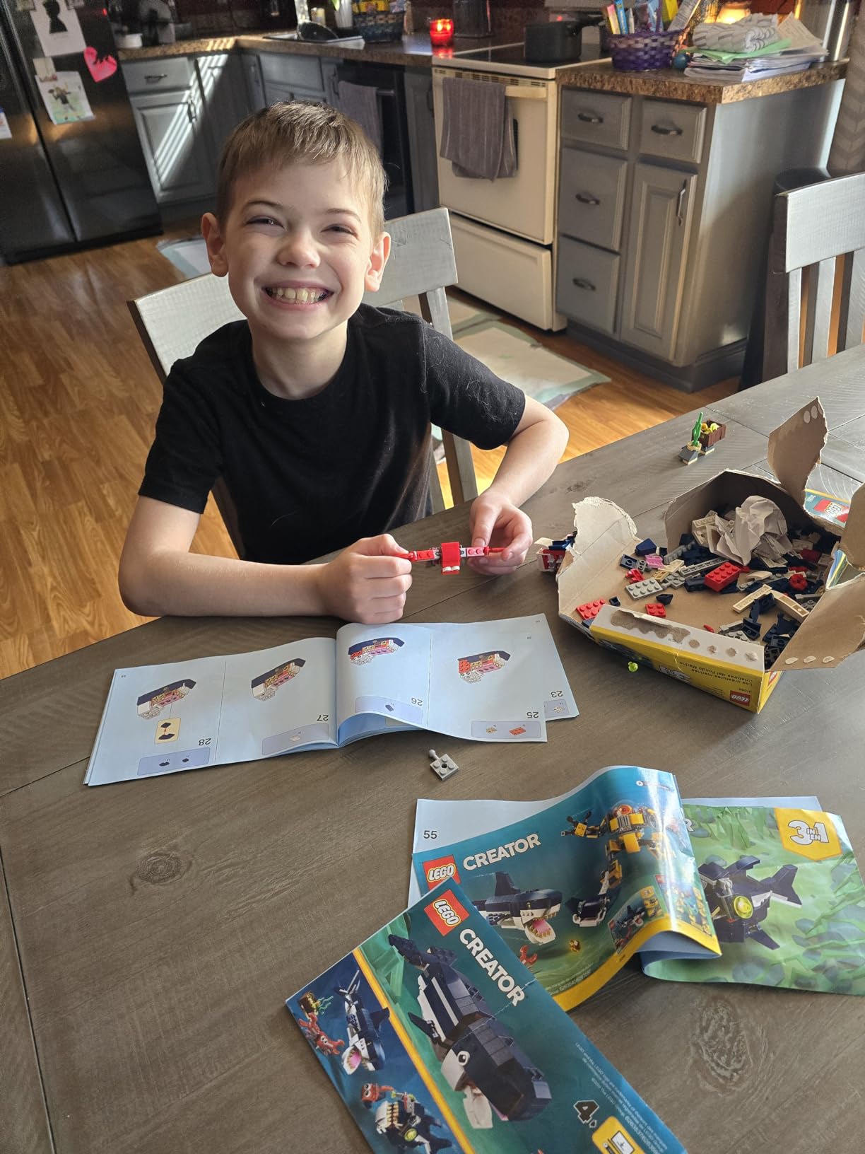 LEGO Creator 3 in 1 Deep Sea Creatures, Transforms from Shark and Crab to Squid to Angler Fish, Sea Animal Toys, Gifts for 7 Plus Year Old Girls and Boys, 31088 - Customer Photo 2