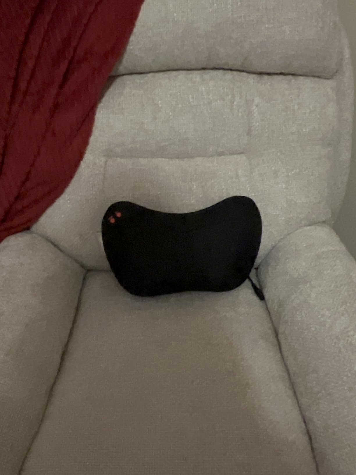 Papillon Shiatsu Back and Neck Massager with Heat, Deep Tissue Kneading, Electric Massage Pillow for Back, Shoulders, Legs, Foot, Body Muscle Pain Relief Customer Review Papillon Shiatsu Back and Neck Massager with Heat, Deep Tissue Kneading, Electric Massage Pillow for Back, Shoulders, Legs, Foot, Body Muscle Pain Relief - Customer Photo 1