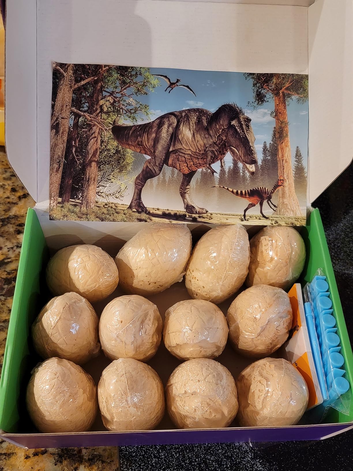 Dig Up Dinosaur Fossil Eggs, Break Open 12 Unique Eggs and Discover 12 Cute Dinosaurs, Easter Digging Toy for 3 4 5 6 7 8 9-12 Year Old Boys Archaeology Science STEM Gift - Customer Photo 1