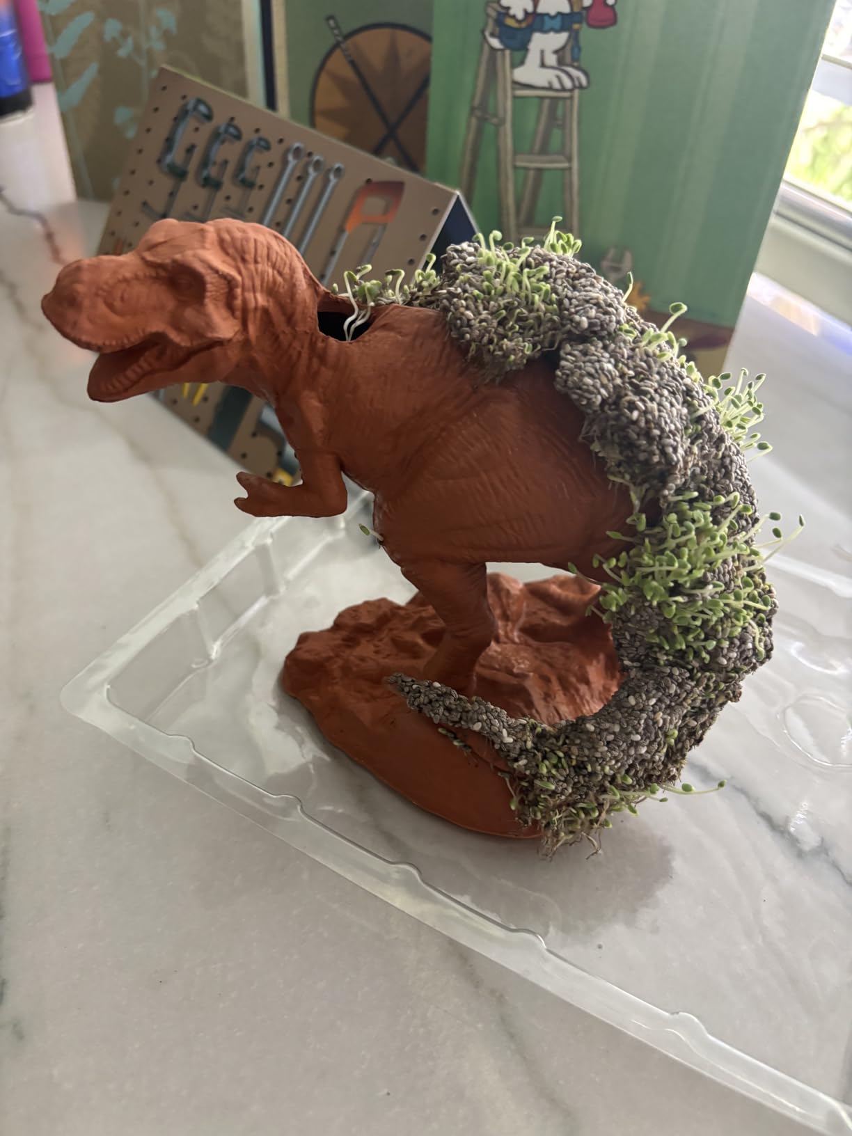 Chia CP439-01 Pet Llama Decorative Pottery Planter, Easy to Do and Fun to Grow Customer Review Chia CP439-01 Pet Llama Decorative Pottery Planter, Easy to Do and Fun to Grow - Customer Photo 1
