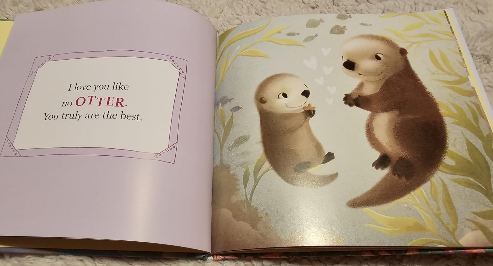 I Love You Like No Otter: A Funny and Sweet Board Book for Babies and Toddlers (Punderland) - Customer Photo 1