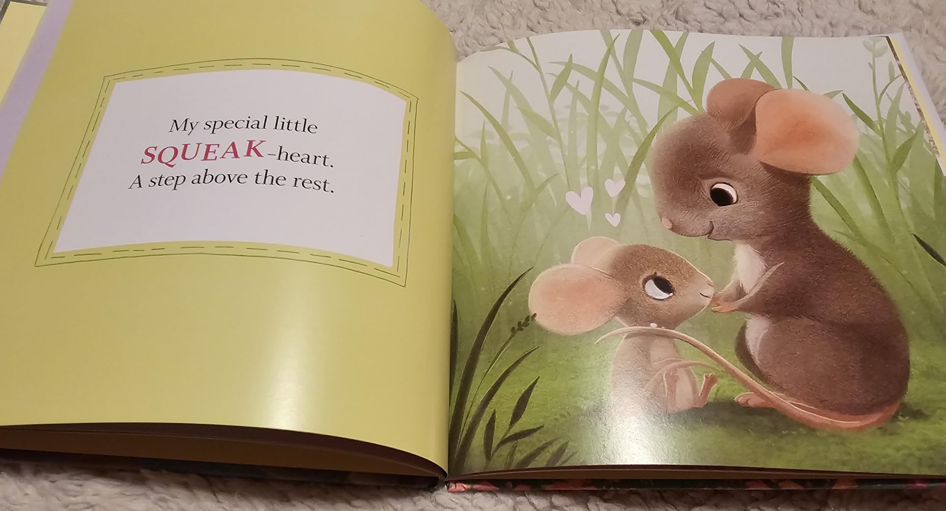 I Love You Like No Otter: A Funny and Sweet Board Book for Babies and Toddlers (Punderland) - Customer Photo 2
