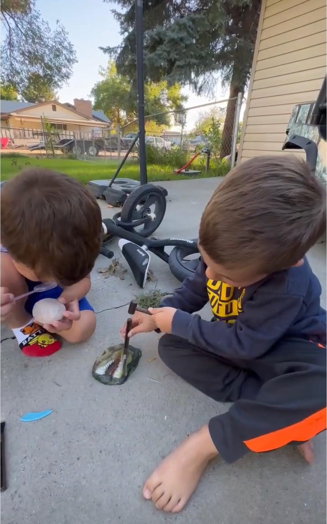 Dinosaur Fossil Digging Kit for Kids, Eggs Excavation Dig Kit, Toys for Kids 5-7 8-12, Great Birthday for Boys and Girls - Customer Photo 2