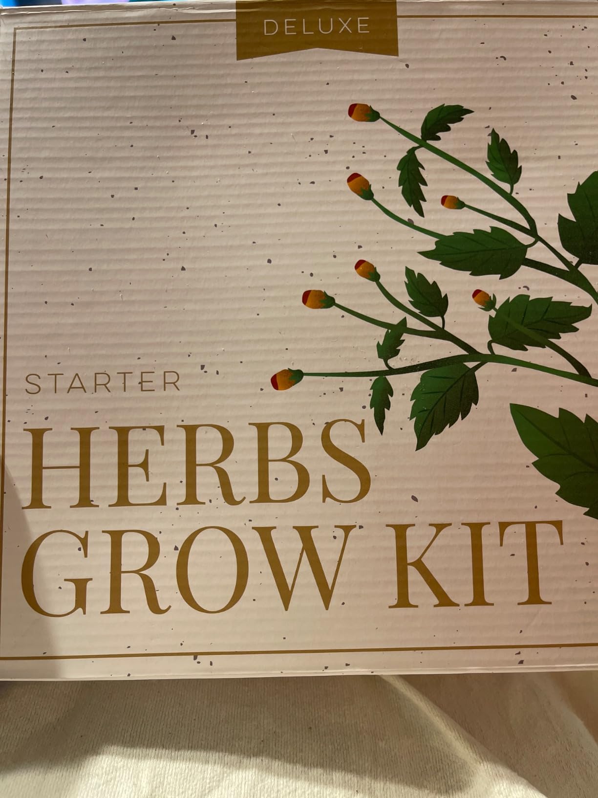 HOME GROWN Gift Herb Kit – 8 Herb Seeds Set with Basil, Cilantro, Mint & More, Complete Indoor Grow Kit for Kitchen, Gardening Gifts for Women & Men, Ideal for Cooking & Home Décor - Customer Photo 4