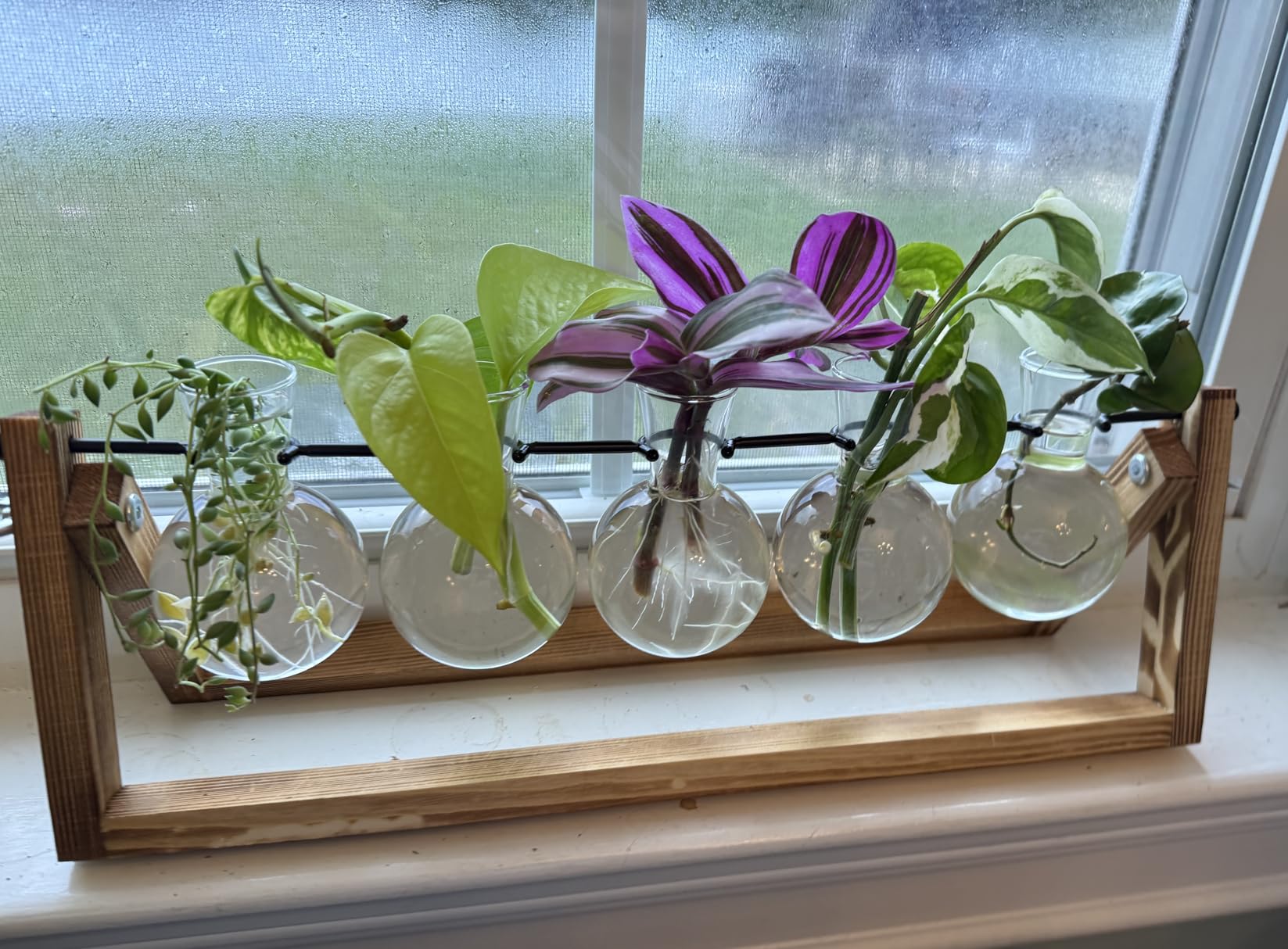 Plant Propagation Station, Plant Terrarium with Wooden Stand, Unique Gardening Birthday Gifts for Women Plants Lovers, Home Office Garden Decor Planter - 3 Bulb Glass Vases - Customer Photo 3