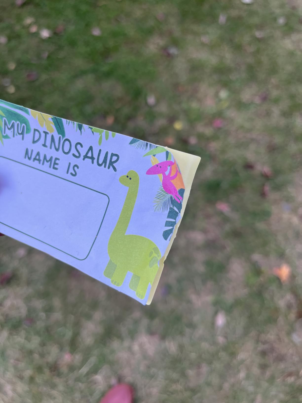 What is Your Dinosaur Name Game, Game Sign and 30 Cards, Dinosaur Birthday Party Sign for Boys and Girls, Holiday Activity, Kids Dinosaur Activity Cards, Dinosaur Activity Decoration Supplies - Customer Photo 1