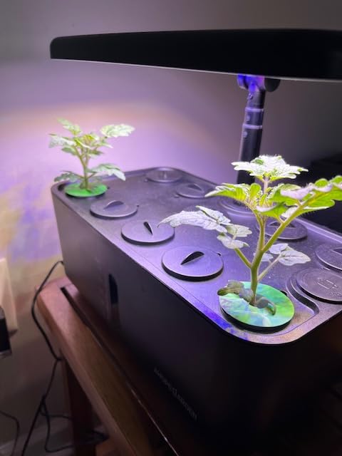 Ahopegarden Indoor Garden Hydroponics Growing System: 10 Pods Plant Germination Kit Herb Vegetable Growth Lamp Countertop with LED Grow Light - Hydrophonic Planter Grower Harvest Lettuce Customer Review Ahopegarden Indoor Garden Hydroponics Growing System: 10 Pods Plant Germination Kit Herb Vegetable Growth Lamp Countertop with LED Grow Light - Hydrophonic Planter Grower Harvest Lettuce - Customer Photo 1