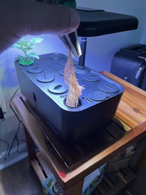 Ahopegarden Indoor Garden Hydroponics Growing System: 10 Pods Plant Germination Kit Herb Vegetable Growth Lamp Countertop with LED Grow Light - Hydrophonic Planter Grower Harvest Lettuce Customer Review Ahopegarden Indoor Garden Hydroponics Growing System: 10 Pods Plant Germination Kit Herb Vegetable Growth Lamp Countertop with LED Grow Light - Hydrophonic Planter Grower Harvest Lettuce - Customer Photo 2