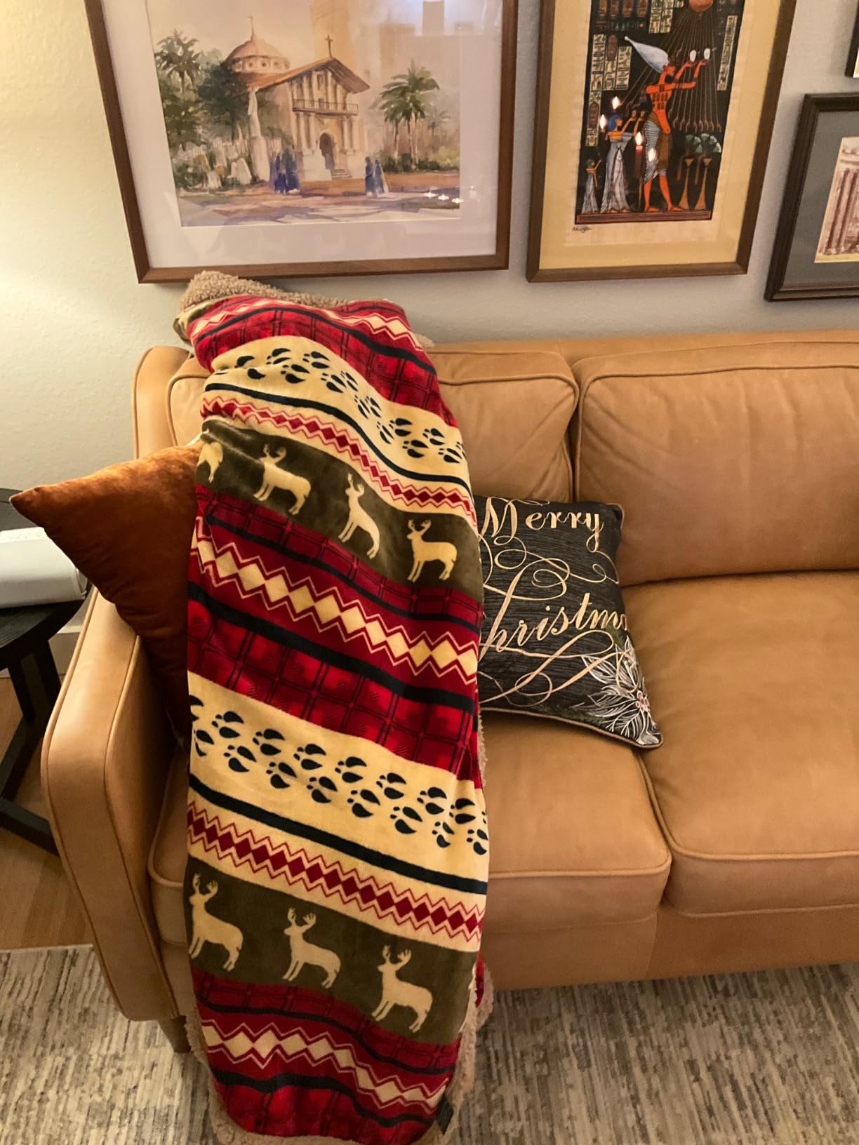 PAVILIA Premium Christmas Sherpa Throw Blanket | Christmas Decoration Gift, Fleece, Plush, Warm, Cozy Reversible Microfiber Holiday Blanket | Blue Christmas - 50x60 Customer Review PAVILIA Premium Christmas Sherpa Throw Blanket | Christmas Decoration Gift, Fleece, Plush, Warm, Cozy Reversible Microfiber Holiday Blanket | Blue Christmas - 50x60 - Customer Photo 5