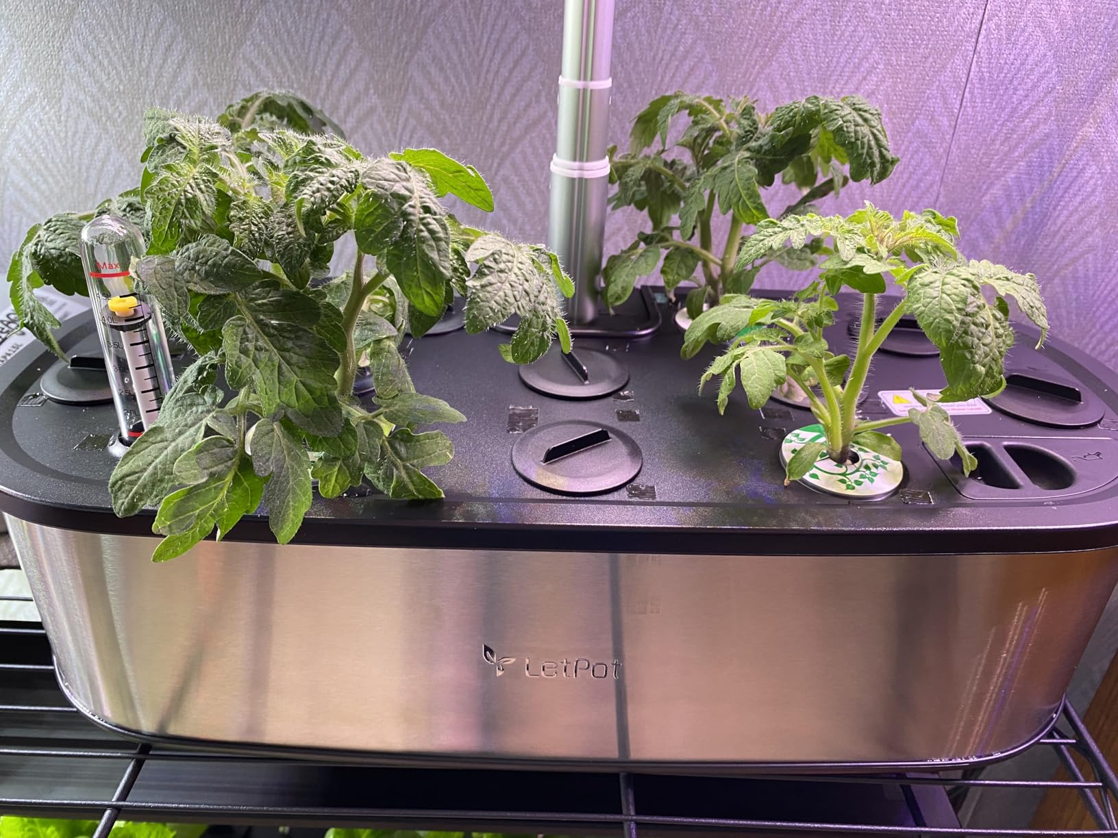 LetPot LPH-SE Hydroponics Growing System, 12 Pods Smart Herb Garden Kit Indoor, APP & WiFi Controlled, with 24W Growing LED, 5.5L Water Tank, Pump System, Automatic Timer Customer Review LetPot LPH-SE Hydroponics Growing System, 12 Pods Smart Herb Garden Kit Indoor, APP & WiFi Controlled, with 24W Growing LED, 5.5L Water Tank, Pump System, Automatic Timer - Customer Photo 1