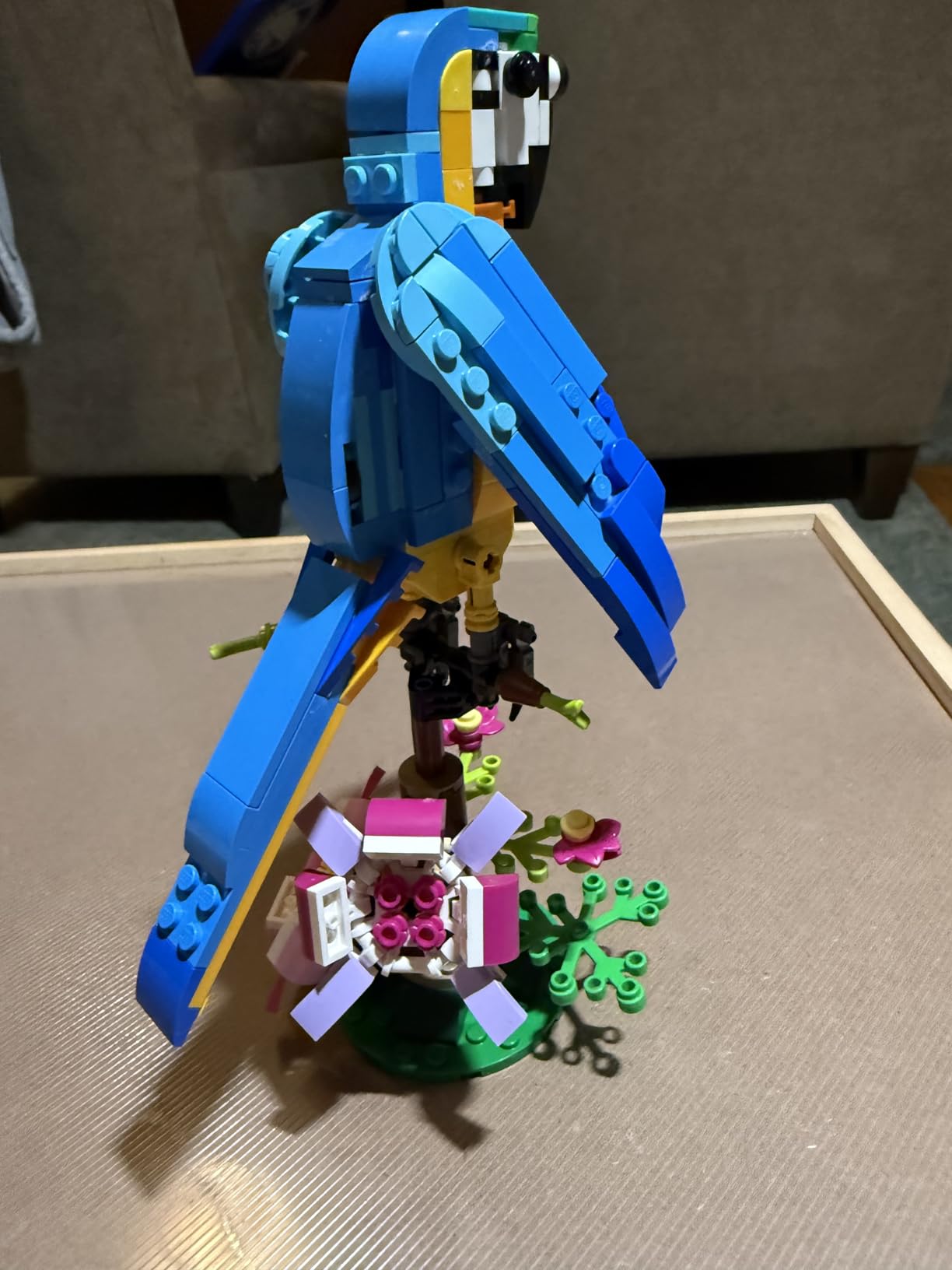 LEGO Creator 3 in 1 Exotic Parrot Building Toy Set, Transforms to 3 Different Animal Figures - from Colorful Parrot, to Swimming Fish, to Cute Frog, Creative Toys for Kids Ages 7 and Up, 31136 Customer Review LEGO Creator 3 in 1 Exotic Parrot Building Toy Set, Transforms to 3 Different Animal Figures - from Colorful Parrot, to Swimming Fish, to Cute Frog, Creative Toys for Kids Ages 7 and Up, 31136 - Customer Photo 1