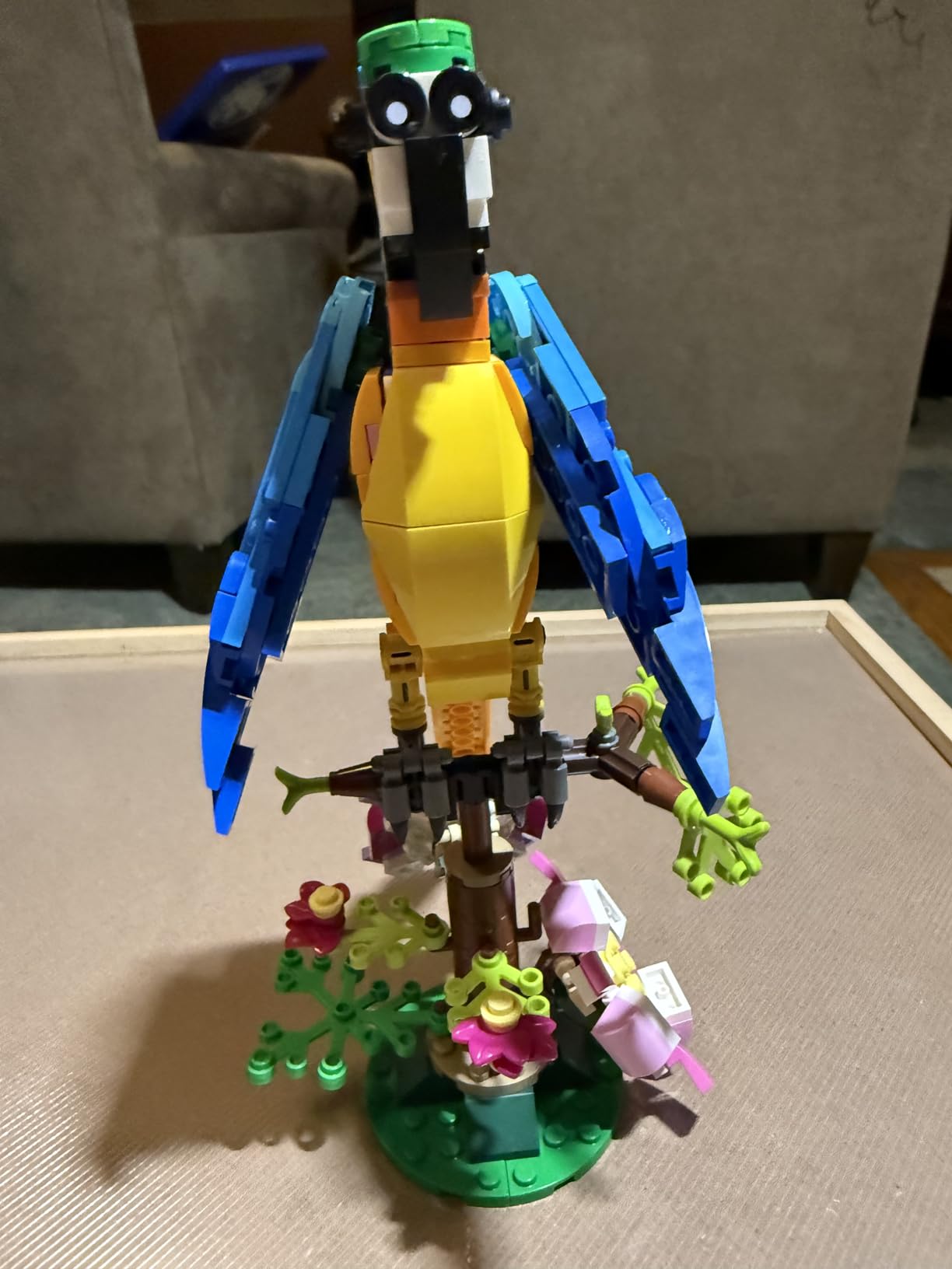 LEGO Creator 3 in 1 Exotic Parrot Building Toy Set, Transforms to 3 Different Animal Figures - from Colorful Parrot, to Swimming Fish, to Cute Frog, Creative Toys for Kids Ages 7 and Up, 31136 Customer Review LEGO Creator 3 in 1 Exotic Parrot Building Toy Set, Transforms to 3 Different Animal Figures - from Colorful Parrot, to Swimming Fish, to Cute Frog, Creative Toys for Kids Ages 7 and Up, 31136 - Customer Photo 2